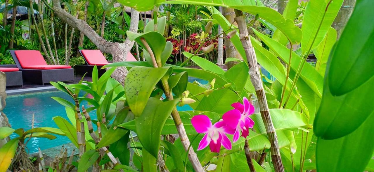 Bali Harmony Villa อูบุด ภายนอก รูปภาพ